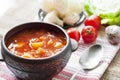 Tomato soup with cabbage and cauliflower Royalty Free Stock Photo