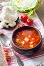 Vegetarian tomato soup with cabbage and cauliflower Royalty Free Stock Photo