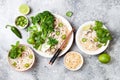 Vegetarian traditional Vietnamese soup Pho bo with herbs, rice noodles, broccolini, bok choy. Asian food concept.