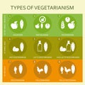Vegetarian types infographic