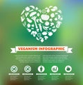Vegetarian and vegan, healthy organic infographic