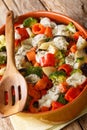 Vegetarian vegetable casserole with cheese close-up in a baking dish. vertical