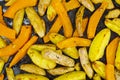 Vegetarian vegetable dish, potato wedges and pumpkin, baked grill. Royalty Free Stock Photo