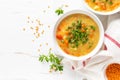 Vegetarian vegetable lentil soup with fresh parsley, healthy eating Royalty Free Stock Photo