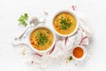 Vegetarian vegetable lentil soup with fresh parsley, healthy eating Royalty Free Stock Photo