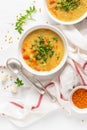 Vegetarian vegetable lentil soup with fresh parsley, healthy eating Royalty Free Stock Photo