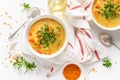 Vegetarian vegetable lentil soup with fresh parsley, healthy eating Royalty Free Stock Photo