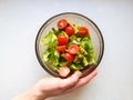 Vegetarian vegetable salad. Fresh salad flying to bowl in super slow motion. Avocado Tomato Salad Royalty Free Stock Photo