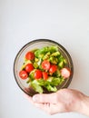 Vegetarian vegetable salad. Fresh salad flying to bowl in super slow motion. Avocado Tomato Salad Royalty Free Stock Photo