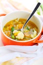 Vegetarian vegetable soup