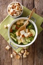 Vegetarian vegetable soup with croutons and thyme close-up in a Royalty Free Stock Photo