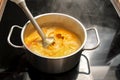 Vegetarian vegetable soup from Hokkaido or red kuri squash is pureed with an immersion blender in a steel pot on a black stove, Royalty Free Stock Photo