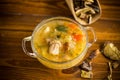 Vegetarian vegetable soup with porcini mushrooms in a glass bowl Royalty Free Stock Photo