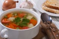 Vegetarian vegetable soup with toasts. Royalty Free Stock Photo