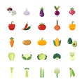 Vegetarian, vegetable, veggies colorful flat icons set