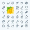 Vegetarian, vegetable, veggies - minimal thin line web icon set.. Outline icons collection.