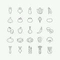 Vegetarian, vegetable, veggies thin line icons set. Vegetable line icons set, outline style