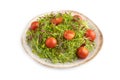 Vegetarian vegetables salad of tomatoes, celery, onion microgreen isolated on white. Side view, close up Royalty Free Stock Photo