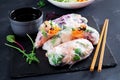 Vegetarian vietnamese spring rolls with spicy shrimps, prawns, carrot, cucumber