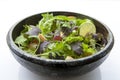 Vegetarianism, vegetables, continental breakfast, lettuce salad Royalty Free Stock Photo