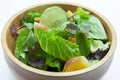 Vegetarianism, vegetables, continental breakfast, lettuce salad Royalty Free Stock Photo