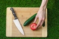 Vegetarians and cooking on the nature of the theme: human hand holding cucumber, tomato on a cutting board and a background of gre Royalty Free Stock Photo