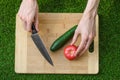 Vegetarians and cooking on the nature of the theme: human hand holding cucumber, tomato on a cutting board and a background of gre Royalty Free Stock Photo