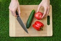 Vegetarians and cooking on the nature of the theme: human hand holding cucumber, tomato and red pepper on a cutting board and a ba Royalty Free Stock Photo