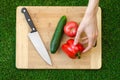 Vegetarians and cooking on the nature of the theme: human hand holding cucumber, tomato and red pepper on a cutting board and a ba Royalty Free Stock Photo