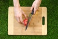 Vegetarians and cooking on the nature of the theme: human hand holding a knife and tomato cutting board on a background of green g Royalty Free Stock Photo