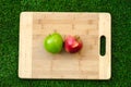 Vegetarians and cooking on the nature of the theme: lying on a cutting board red and green apples on a grass background