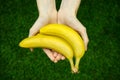 Vegetarians and fresh fruit and vegetables on the nature of the theme: human hand holding a bunch of bananas on a background of gr Royalty Free Stock Photo