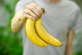 Vegetarians and fresh fruit and vegetables on the nature of the theme: human hand holding a bunch of bananas on a background of gr Royalty Free Stock Photo