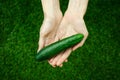 Vegetarians and fresh fruit and vegetables on the nature of the theme: human hand holding a cucumber on a background of green gras Royalty Free Stock Photo