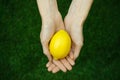 Vegetarians and fresh fruit and vegetables on the nature of the theme: human hand holding a lemon on a background of green grass t Royalty Free Stock Photo