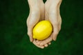 Vegetarians and fresh fruit and vegetables on the nature of the theme: human hand holding a lemon on a background of green grass t Royalty Free Stock Photo