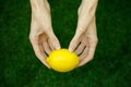 Vegetarians and fresh fruit and vegetables on the nature of the theme: human hand holding a lemon on a background of green grass t Royalty Free Stock Photo