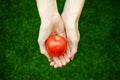 Vegetarians and fresh fruit and vegetables on the nature of the theme: human hand holding a tomato on the background of green gras Royalty Free Stock Photo