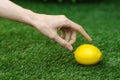 Vegetarians and fresh fruit and vegetables on the nature of the theme: human hand holding a yellow lemon on a background of green Royalty Free Stock Photo