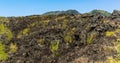 Vegetated lava flows down the hillside on Mount Etna, Sicily