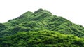 Vegetated Moutain Isolated On Transparent Background. Peaks With Vegetation, Forest And Jungle