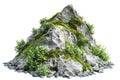 Vegetated Moutain Isolated On Transparent Background. Peaks With Vegetation, Forest And Jungle