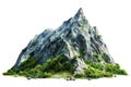 Vegetated Moutain Isolated On Transparent Background. Peaks With Vegetation, Forest And Jungle