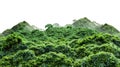 Vegetated Moutain Isolated On Transparent Background. Peaks With Vegetation, Forest And Jungle