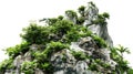 Vegetated Moutain Isolated On Transparent Background. Peaks With Vegetation, Forest And Jungle