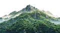 Vegetated Moutain Isolated On Transparent Background. Peaks With Vegetation, Forest And Jungle