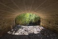 Vegetated stream on the bank crossing a bridge