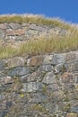 Vegetated wall on 2 levels