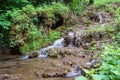 Vegetated water wheel beside little waterfall