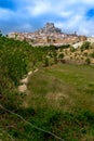 Vegetation adjoining a typical mountain village